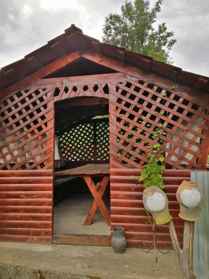DvozhetsУ Катерини别墅 外观 照片